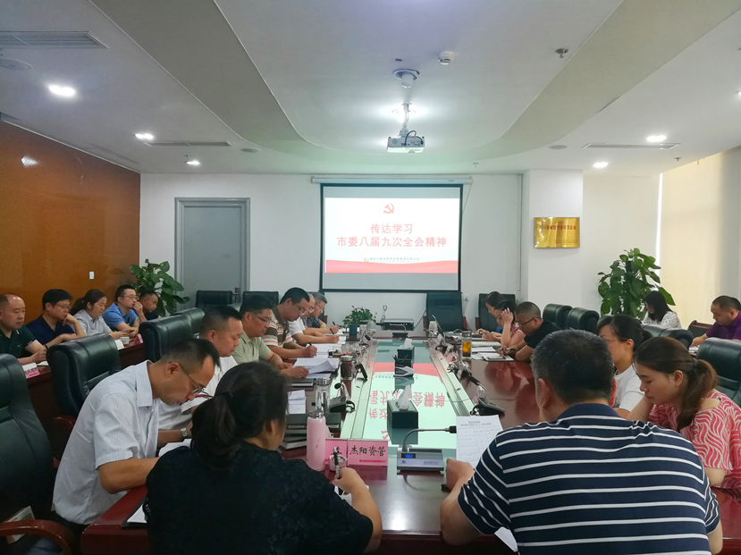集團公司傳達學(xué)習市委八屆九次全會精神